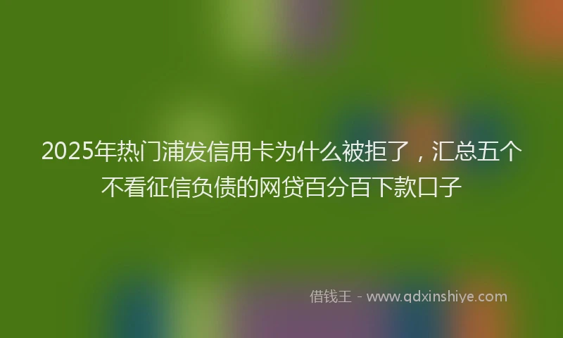 2025年热门浦发信用卡为什么被拒了，汇总五个不看征信负债的网贷百分百下款口子