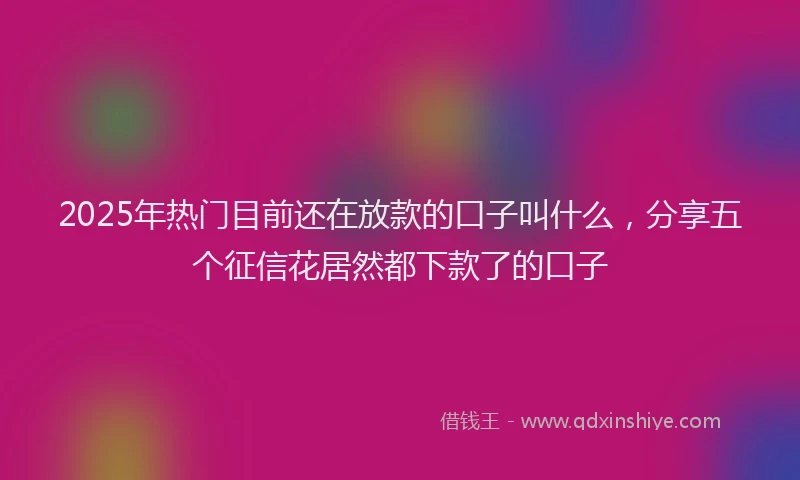 2025年热门目前还在放款的口子叫什么，分享五个征信花居然都下款了的口子