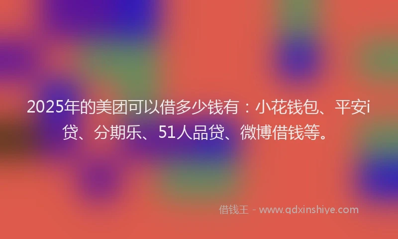 2025年的美团可以借多少钱有：小花钱包、平安i贷、分期乐、51人品贷、微博借钱等。