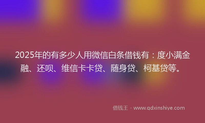 2025年的有多少人用微信白条借钱有：度小满金融、还呗、维信卡卡贷、随身贷、柯基贷等。