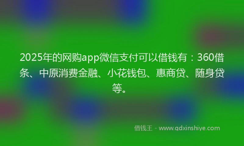 2025年的网购app微信支付可以借钱有：360借条、中原消费金融、小花钱包、惠商贷、随身贷等。