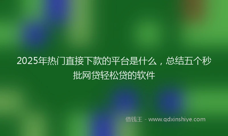 2025年热门直接下款的平台是什么，总结五个秒批网贷轻松贷的软件