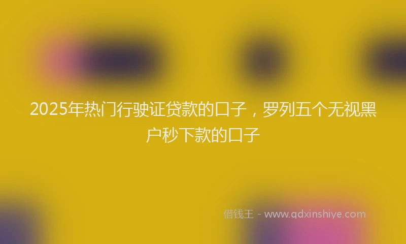 2025年热门行驶证贷款的口子，罗列五个无视黑户秒下款的口子