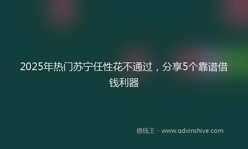 2025年热门苏宁任性花不通过，分享5个靠谱借钱利器
