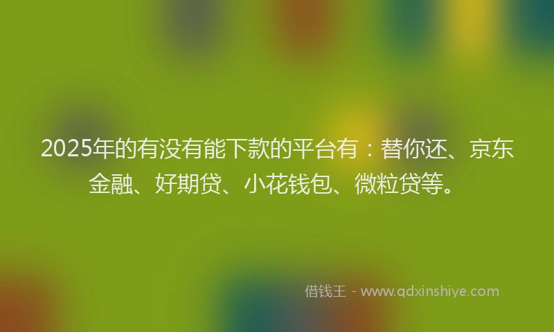 2025年的有没有能下款的平台有：替你还、京东金融、好期贷、小花钱包、微粒贷等。