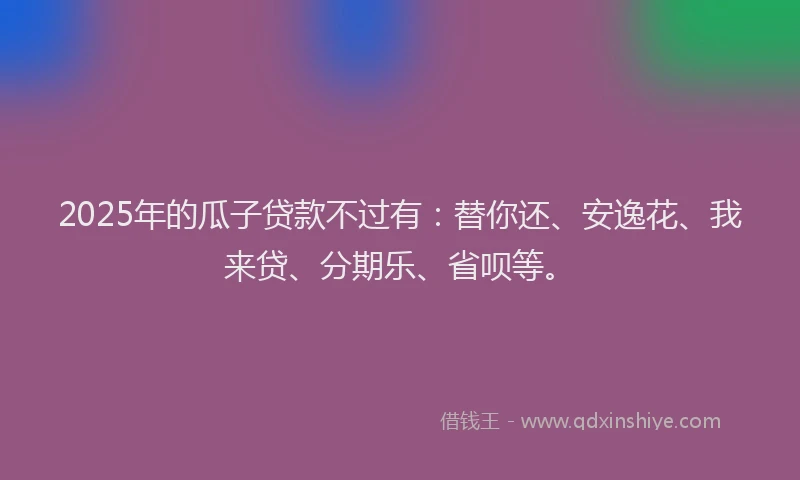 2025年的瓜子贷款不过有：替你还、安逸花、我来贷、分期乐、省呗等。
