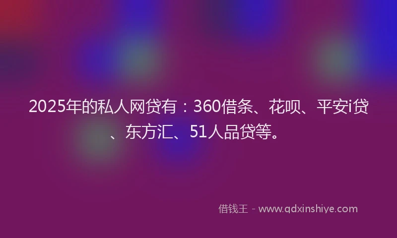 2025年的私人网贷有：360借条、花呗、平安i贷、东方汇、51人品贷等。