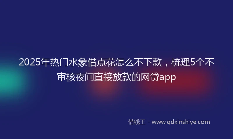 2025年热门水象借点花怎么不下款，梳理5个不审核夜间直接放款的网贷app