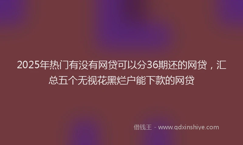 2025年热门有没有网贷可以分36期还的网贷，汇总五个无视花黑烂户能下款的网贷