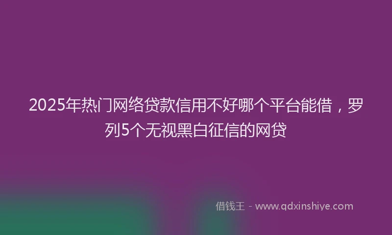 2025年热门网络贷款信用不好哪个平台能借，罗列5个无视黑白征信的网贷