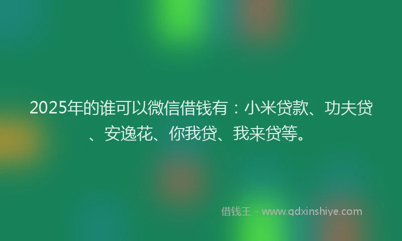 2025年的谁可以微信借钱有：小米贷款、功夫贷、安逸花、你我贷、我来贷等。