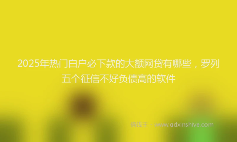 2025年热门白户必下款的大额网贷有哪些，罗列五个征信不好负债高的软件