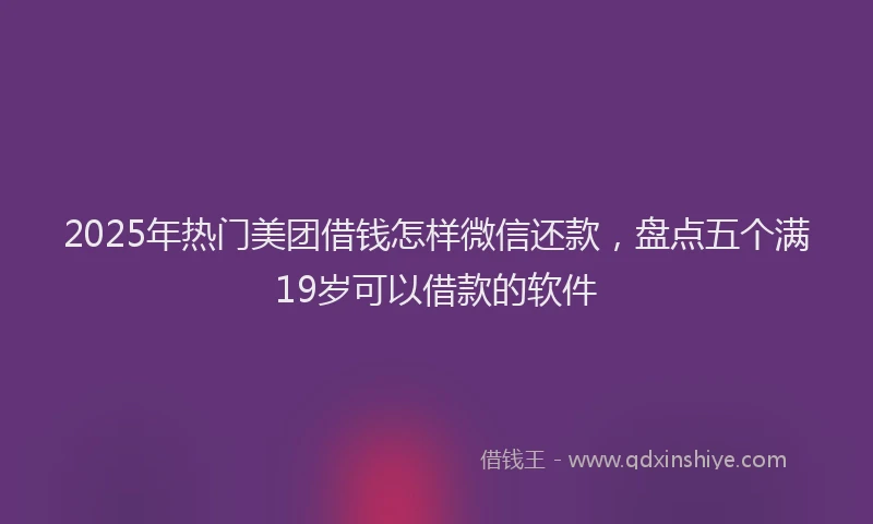 2025年热门美团借钱怎样微信还款，盘点五个满19岁可以借款的软件