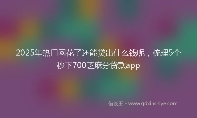 2025年热门网花了还能贷出什么钱呢，梳理5个秒下700芝麻分贷款app