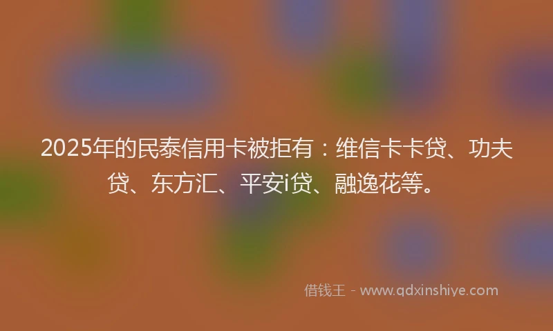 2025年的民泰信用卡被拒有：维信卡卡贷、功夫贷、东方汇、平安i贷、融逸花等。