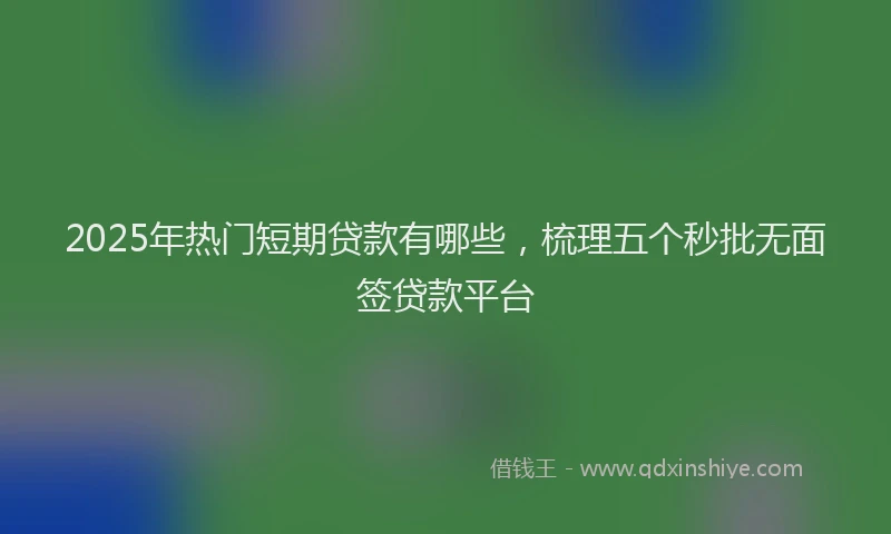2025年热门短期贷款有哪些，梳理五个秒批无面签贷款平台
