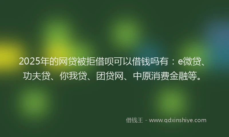 2025年的网贷被拒借呗可以借钱吗有：e微贷、功夫贷、你我贷、团贷网、中原消费金融等。