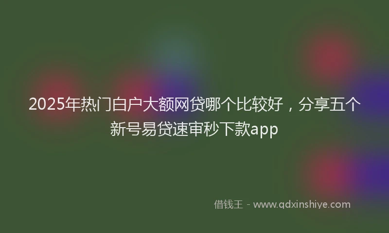 2025年热门白户大额网贷哪个比较好，分享五个新号易贷速审秒下款app