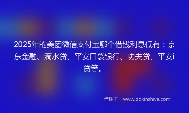 2025年的美团微信支付宝哪个借钱利息低有：京东金融、滴水贷、平安口袋银行、功夫贷、平安i贷等。