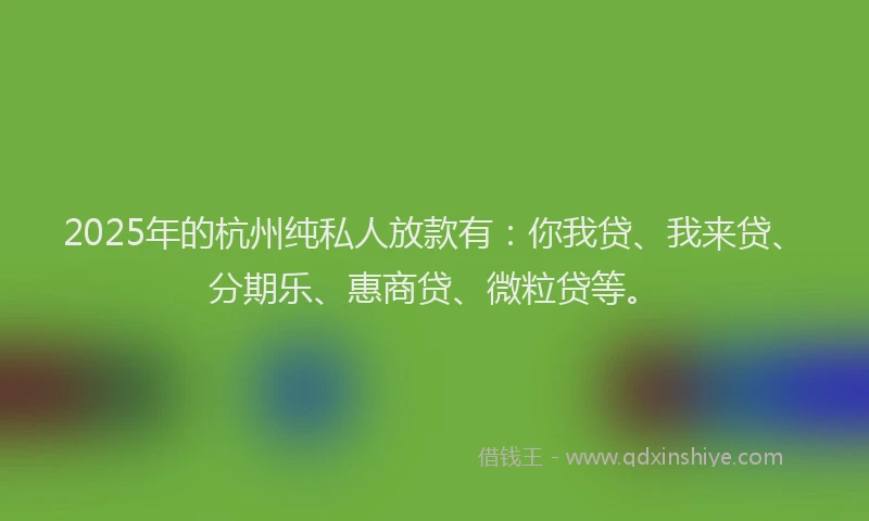 2025年的杭州纯私人放款有：你我贷、我来贷、分期乐、惠商贷、微粒贷等。