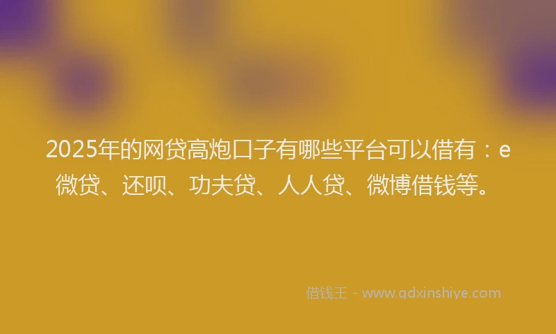2025年的网贷高炮口子有哪些平台可以借有：e微贷、还呗、功夫贷、人人贷、微博借钱等。