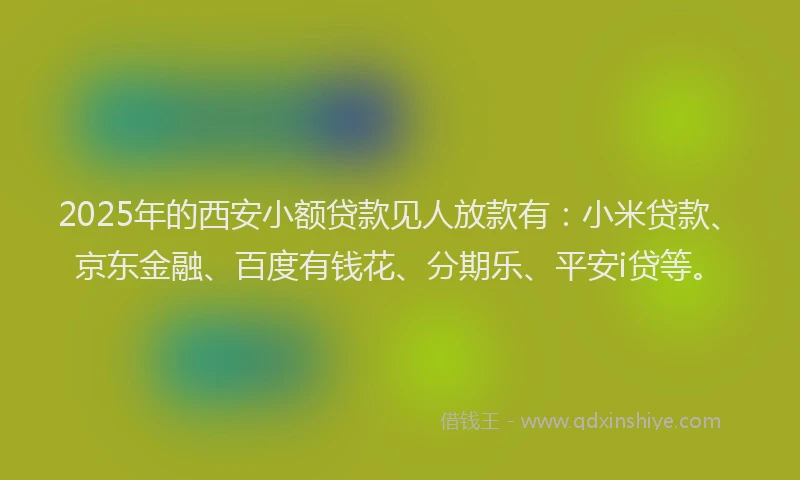 2025年的西安小额贷款见人放款有：小米贷款、京东金融、百度有钱花、分期乐、平安i贷等。