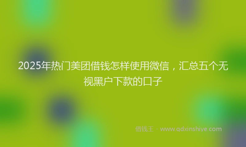 2025年热门美团借钱怎样使用微信，汇总五个无视黑户下款的口子