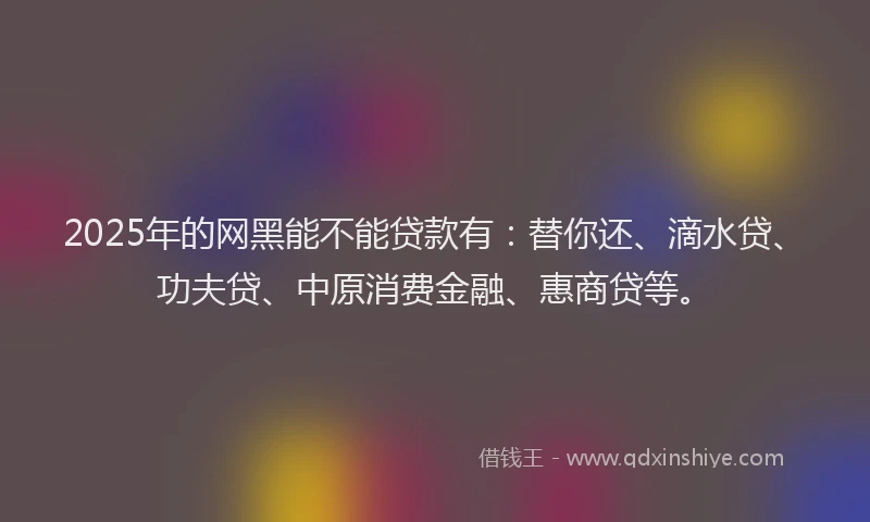 2025年的网黑能不能贷款有：替你还、滴水贷、功夫贷、中原消费金融、惠商贷等。