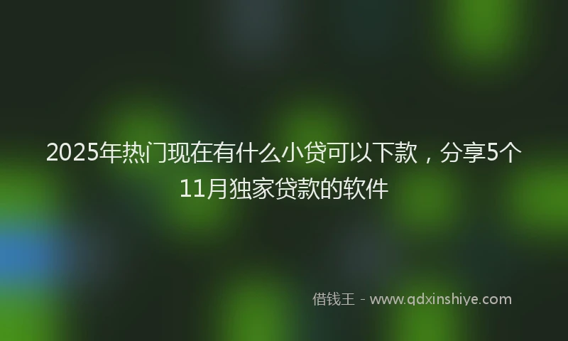 2025年热门现在有什么小贷可以下款，分享5个11月独家贷款的软件