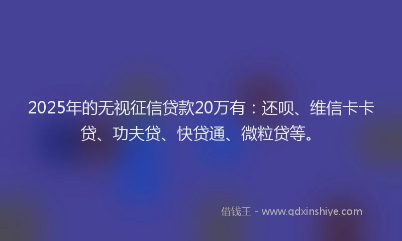 2025年的无视征信贷款20万有：还呗、维信卡卡贷、功夫贷、快贷通、微粒贷等。