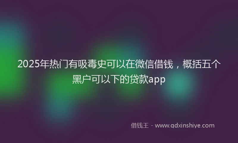 2025年热门有吸毒史可以在微信借钱，概括五个黑户可以下的贷款app