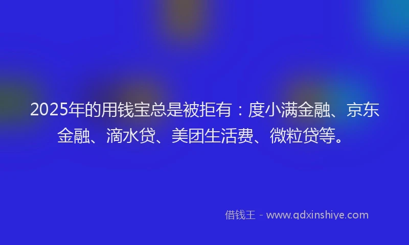2025年的用钱宝总是被拒有：度小满金融、京东金融、滴水贷、美团生活费、微粒贷等。