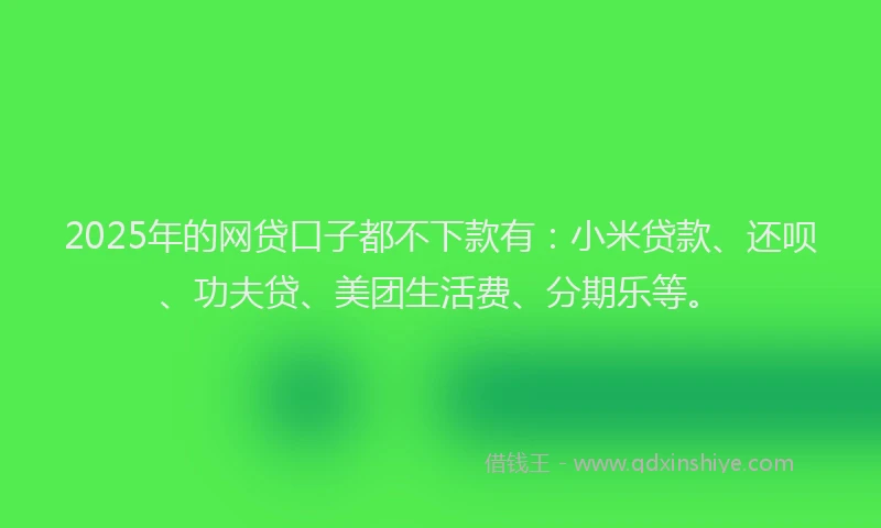 2025年的网贷口子都不下款有：小米贷款、还呗、功夫贷、美团生活费、分期乐等。