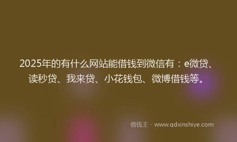 2025年的有什么网站能借钱到微信有：e微贷、读秒贷、我来贷、小花钱包、微博借钱等。