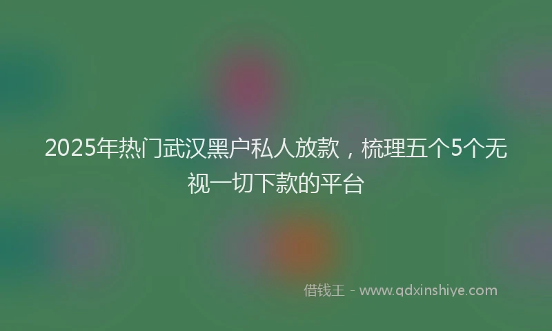 2025年热门武汉黑户私人放款，梳理五个5个无视一切下款的平台