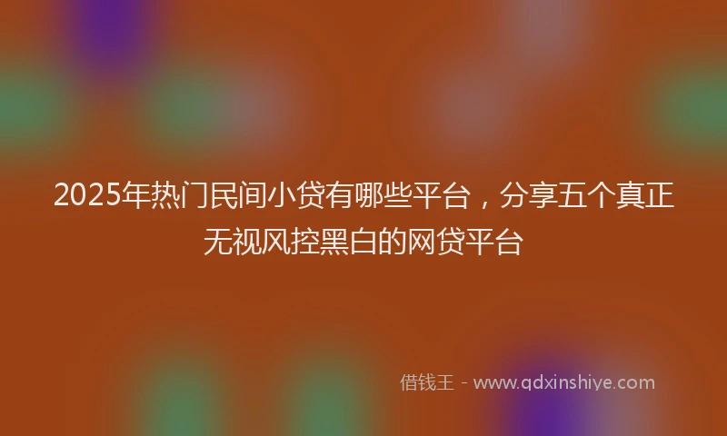 2025年热门民间小贷有哪些平台，分享五个真正无视风控黑白的网贷平台