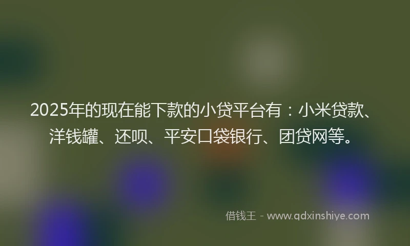 2025年的现在能下款的小贷平台有：小米贷款、洋钱罐、还呗、平安口袋银行、团贷网等。