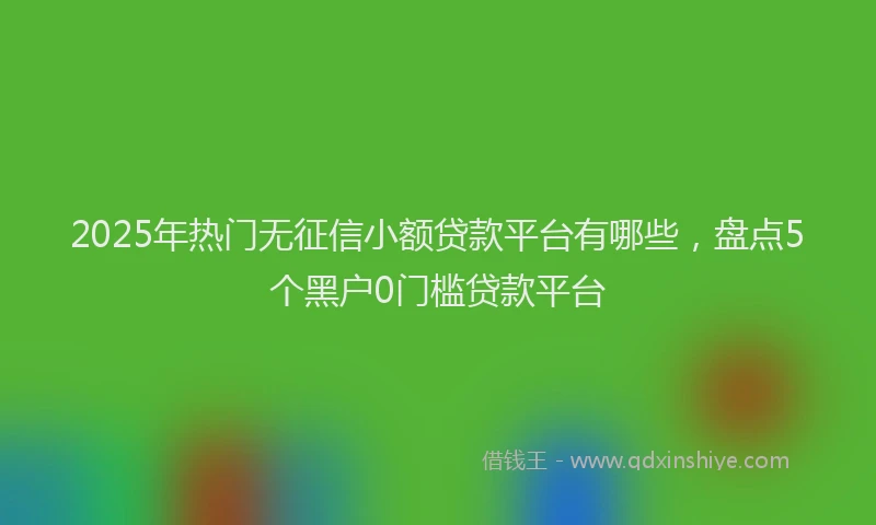 2025年热门无征信小额贷款平台有哪些，盘点5个黑户0门槛贷款平台