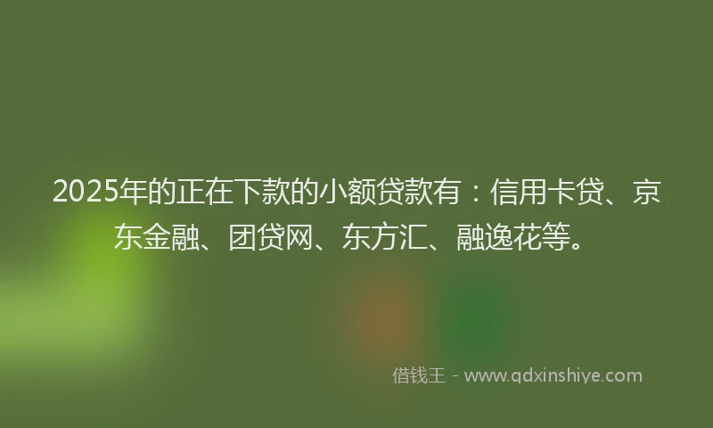 2025年的正在下款的小额贷款有：信用卡贷、京东金融、团贷网、东方汇、融逸花等。