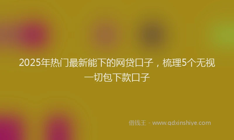 2025年热门最新能下的网贷口子，梳理5个无视一切包下款口子