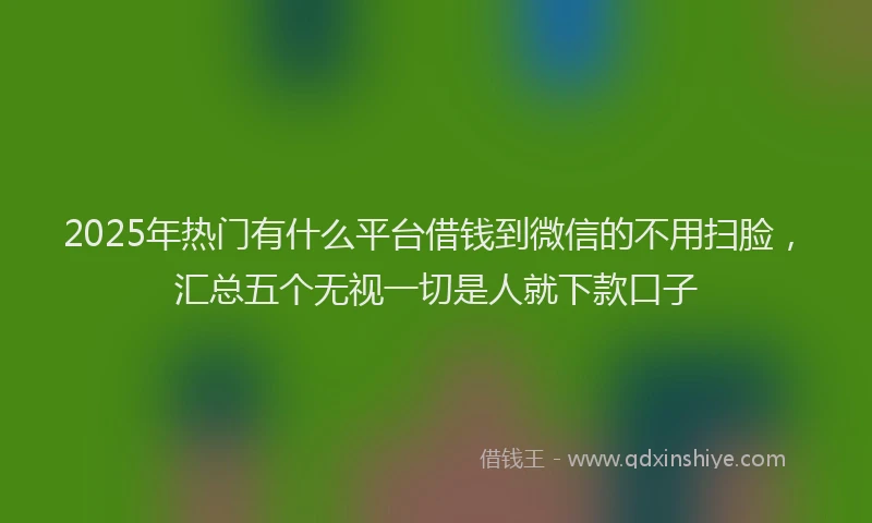 2025年热门有什么平台借钱到微信的不用扫脸，汇总五个无视一切是人就下款口子