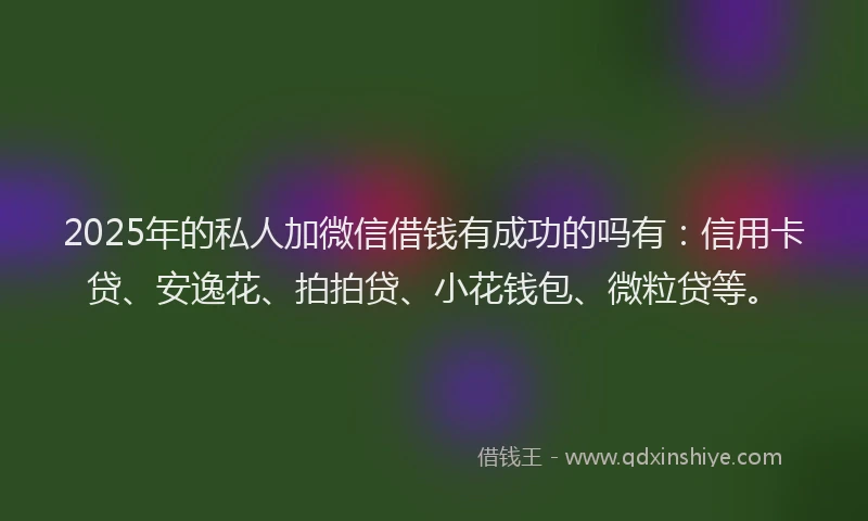 2025年的私人加微信借钱有成功的吗有：信用卡贷、安逸花、拍拍贷、小花钱包、微粒贷等。