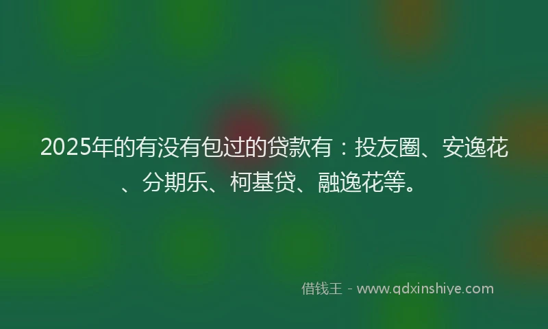 2025年的有没有包过的贷款有：投友圈、安逸花、分期乐、柯基贷、融逸花等。