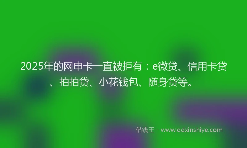 2025年的网申卡一直被拒有：e微贷、信用卡贷、拍拍贷、小花钱包、随身贷等。