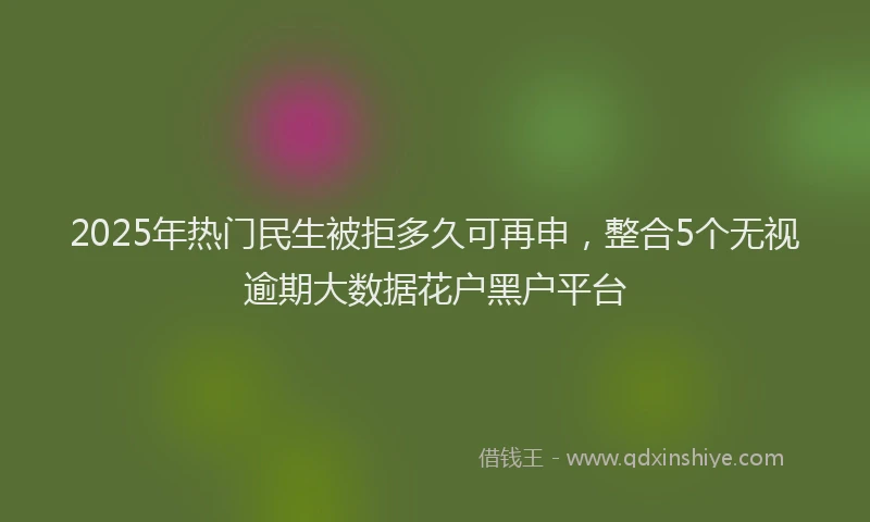 2025年热门民生被拒多久可再申，整合5个无视逾期大数据花户黑户平台