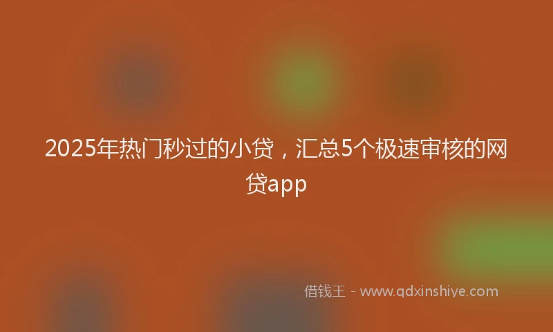 2025年热门秒过的小贷，汇总5个极速审核的网贷app