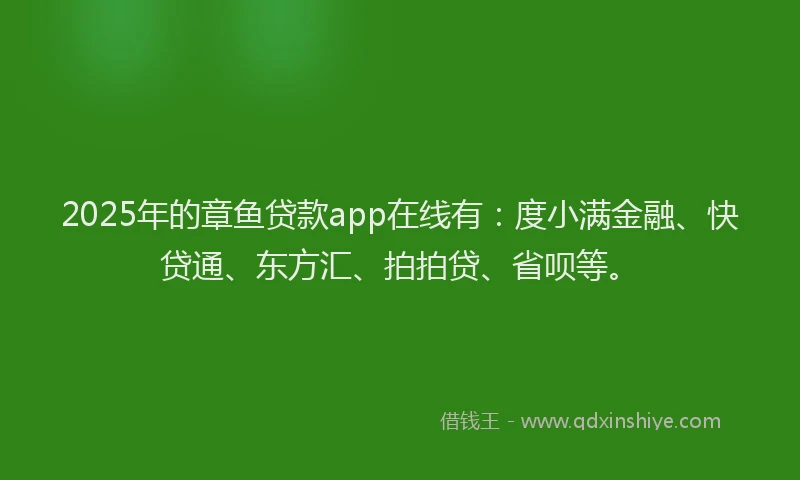 2025年的章鱼贷款app在线有：度小满金融、快贷通、东方汇、拍拍贷、省呗等。