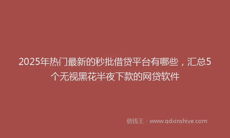 2025年热门最新的秒批借贷平台有哪些，汇总5个无视黑花半夜下款的网贷软件