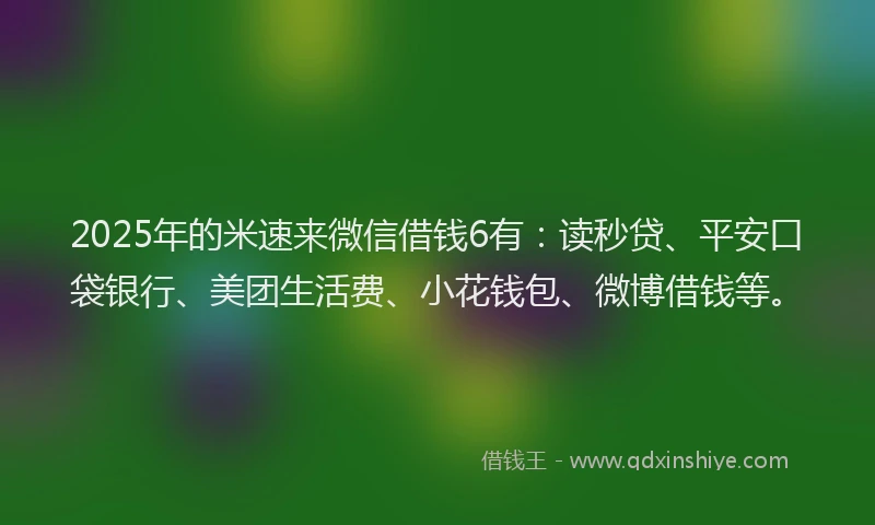 2025年的米速来微信借钱6有：读秒贷、平安口袋银行、美团生活费、小花钱包、微博借钱等。