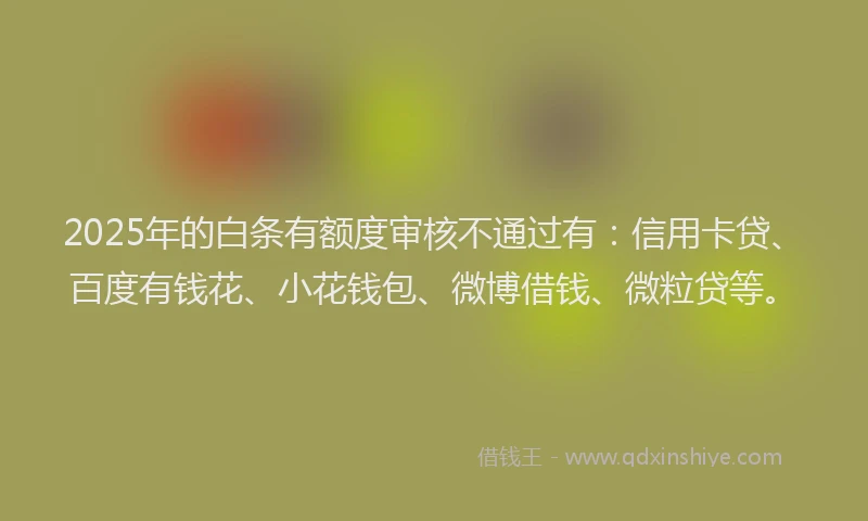 2025年的白条有额度审核不通过有：信用卡贷、百度有钱花、小花钱包、微博借钱、微粒贷等。